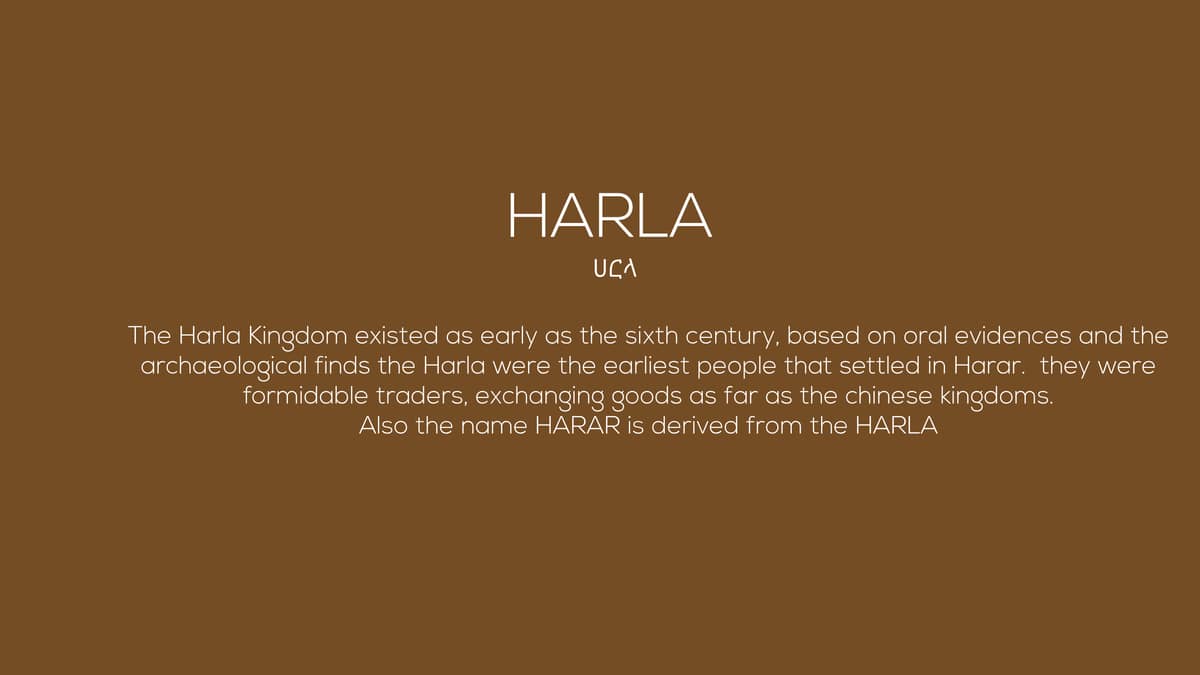 Brand Guideline Library — Garment name proposal