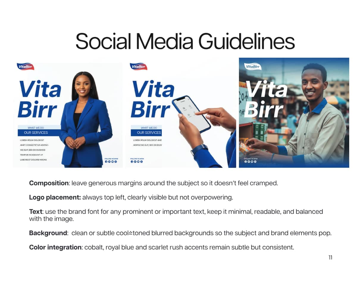 Brand Guideline Library — Vitabirr